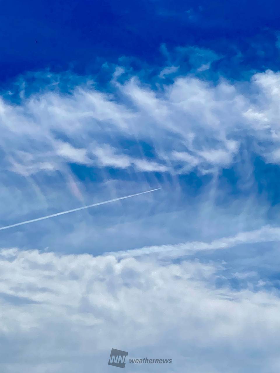 夏を感じる綺麗な青空 注目の空の写真 ウェザーニュース