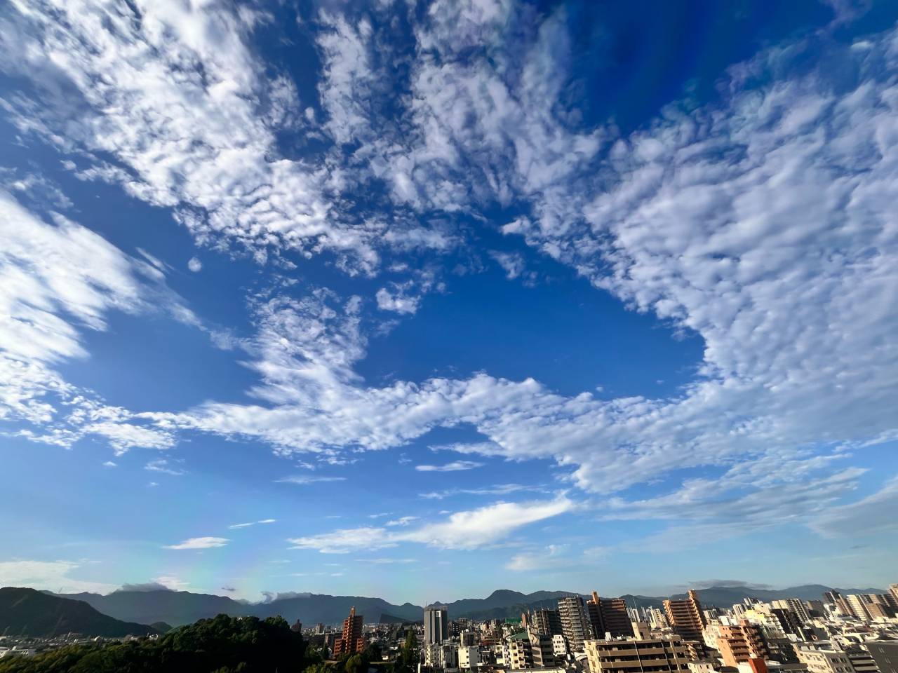 おはようございます...