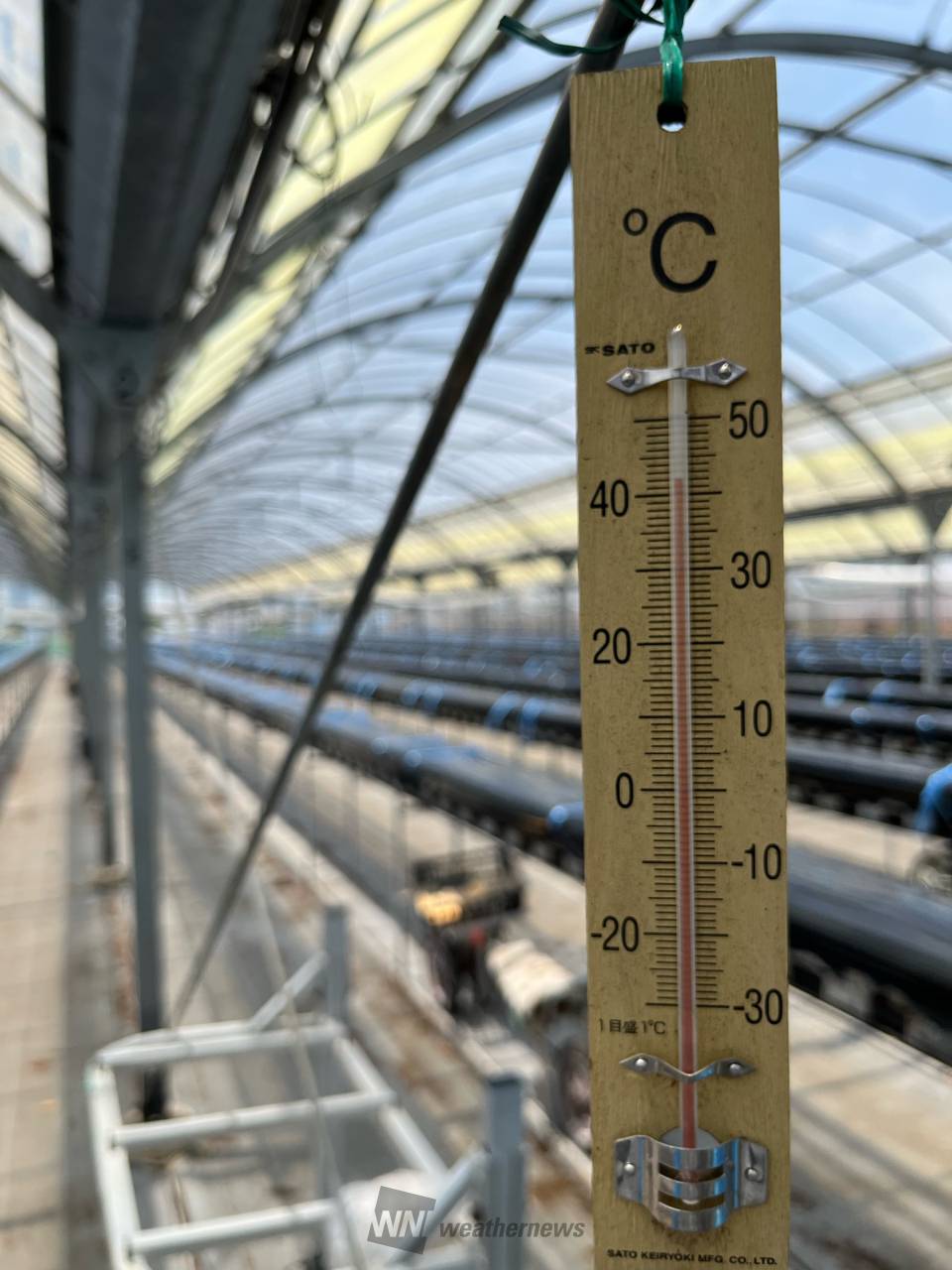 42℃  ビニール...