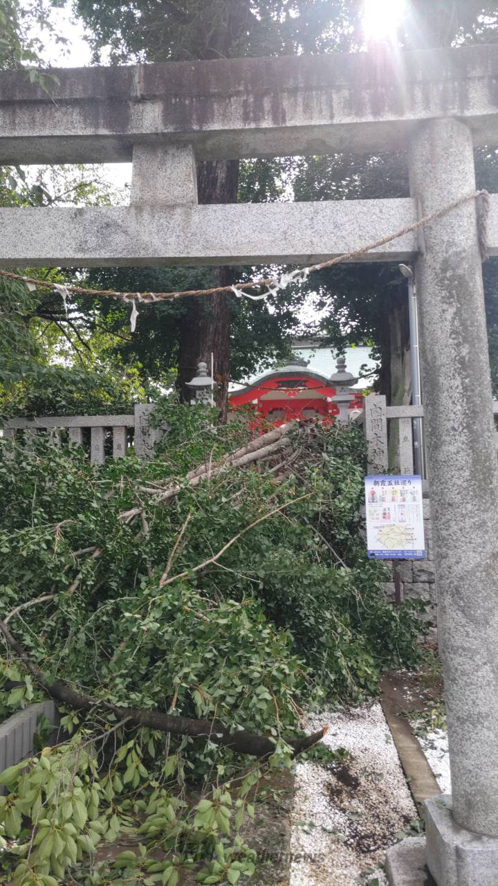 埼玉県で倒木など風の被害 注目の空の写真 ウェザーニュース