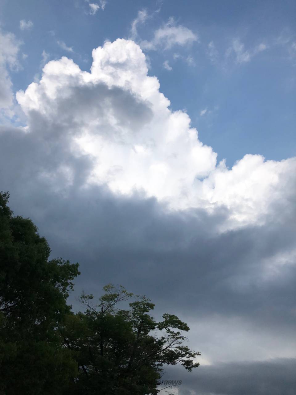 怪しい雲を捉えた！ 注目の空の写真 ウェザーニュース