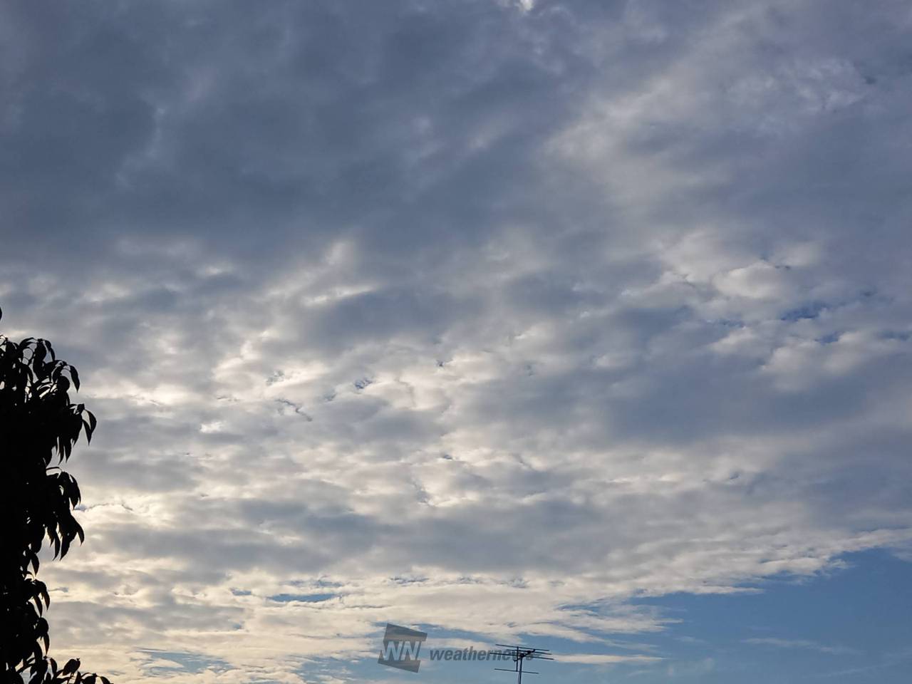 ムシムシした朝🌄...