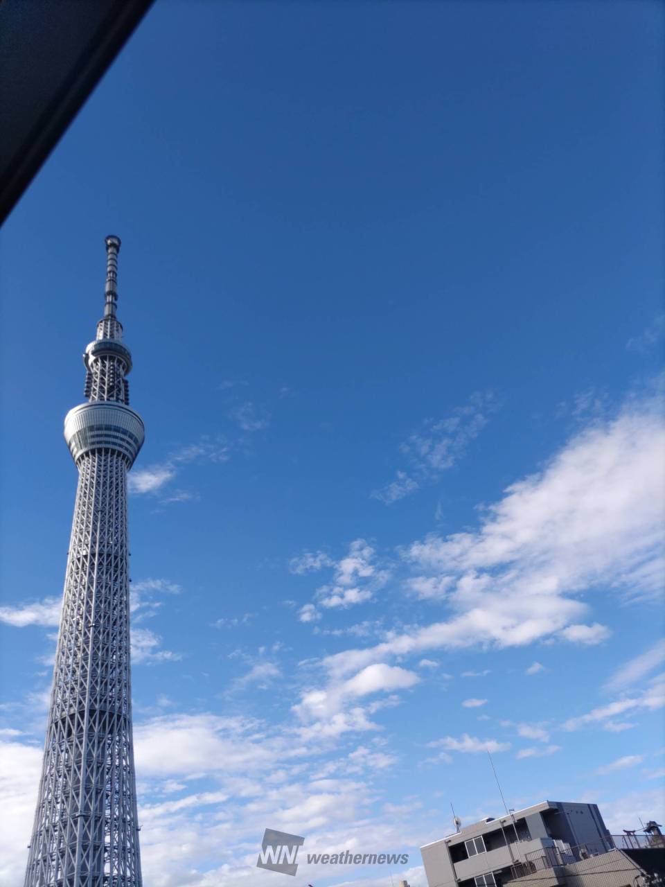 関東は台風一過の青空 注目の空の写真 ウェザーニュース
