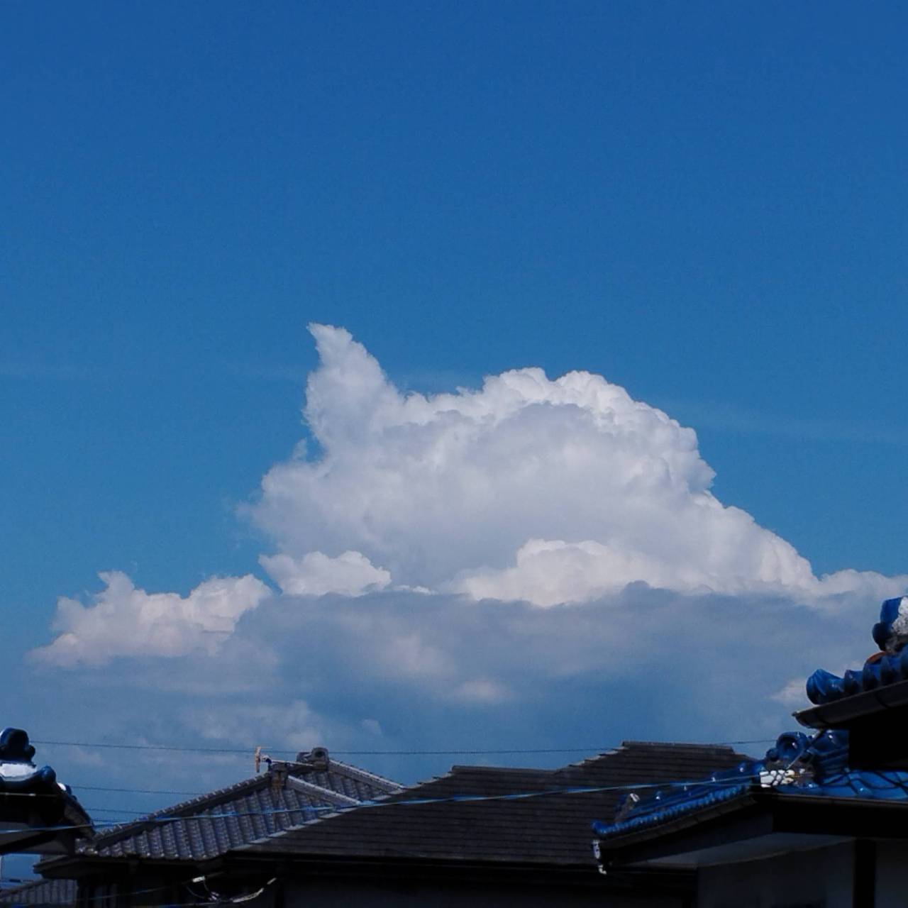 怪しい雲にご用心 注目の空の写真 ウェザーニュース