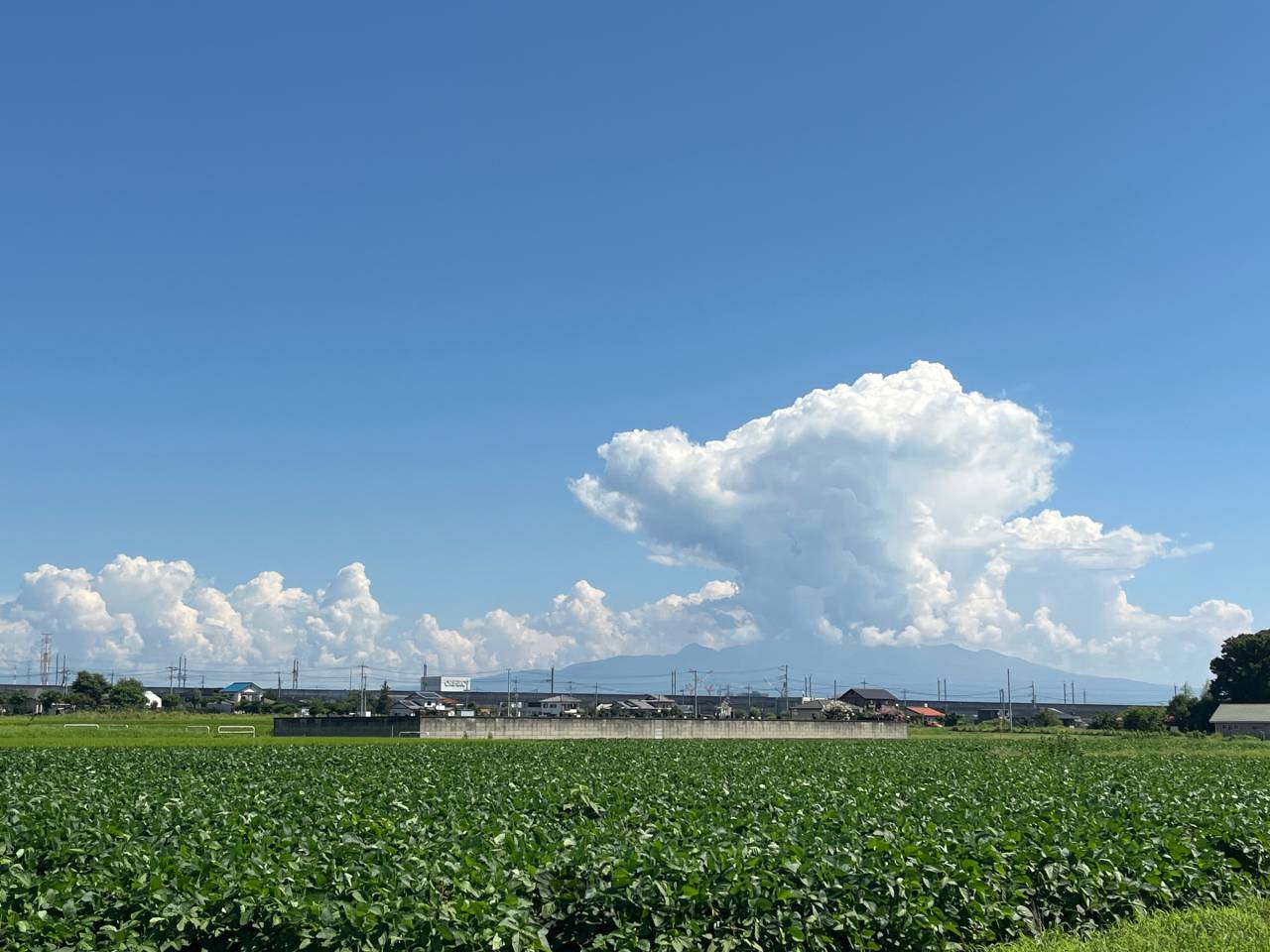 怪しい雲にご用心 注目の空の写真 ウェザーニュース