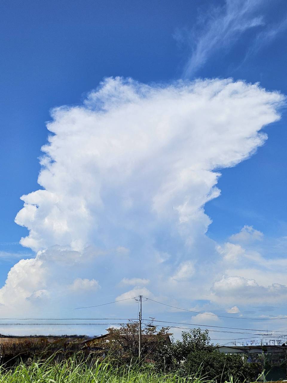 怪しい雲にご用心 注目の空の写真 ウェザーニュース