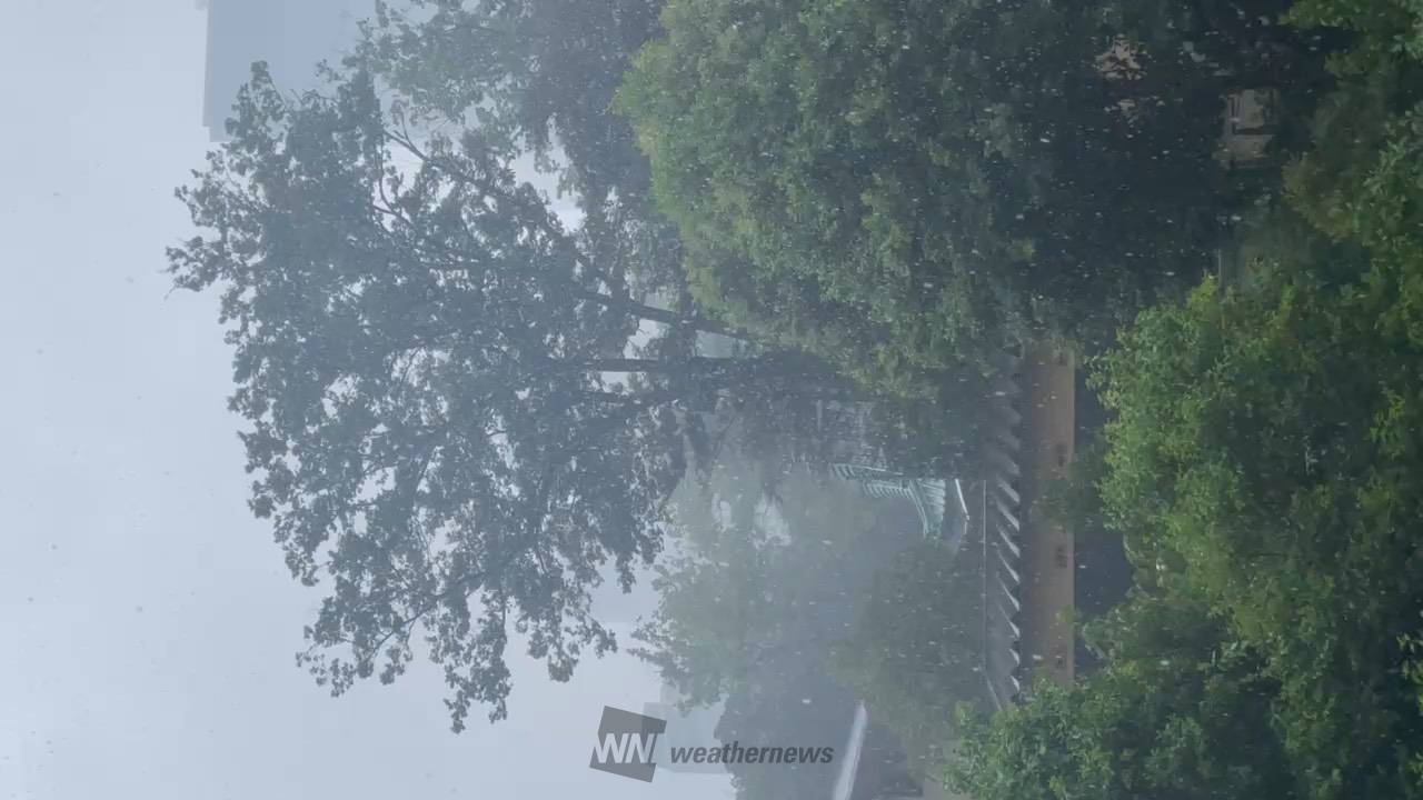 静岡市で300mm超の大雨に 注目の空の写真 ウェザーニュース