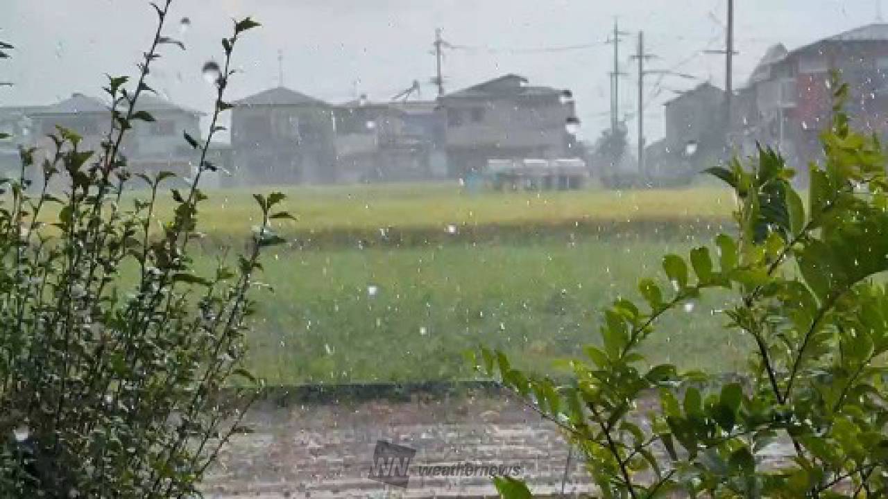 雨 静岡市で300mm超の大雨に 注目の空の写真 ウェザーニュース