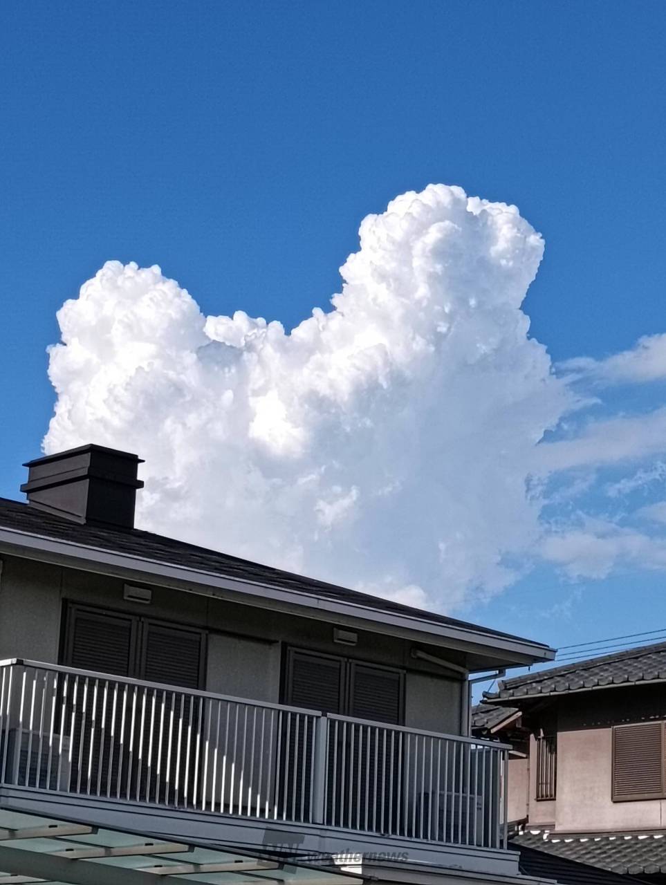洒落雲様　ご確認用 この雲、何に見える？ 注目の空の写真 ウェザーニュース