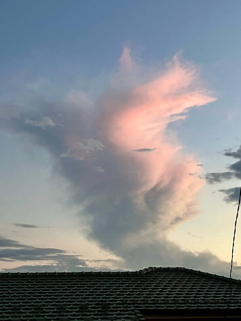 洒落雲様　ご確認用 この雲、何に見える？ 注目の空の写真 ウェザーニュース