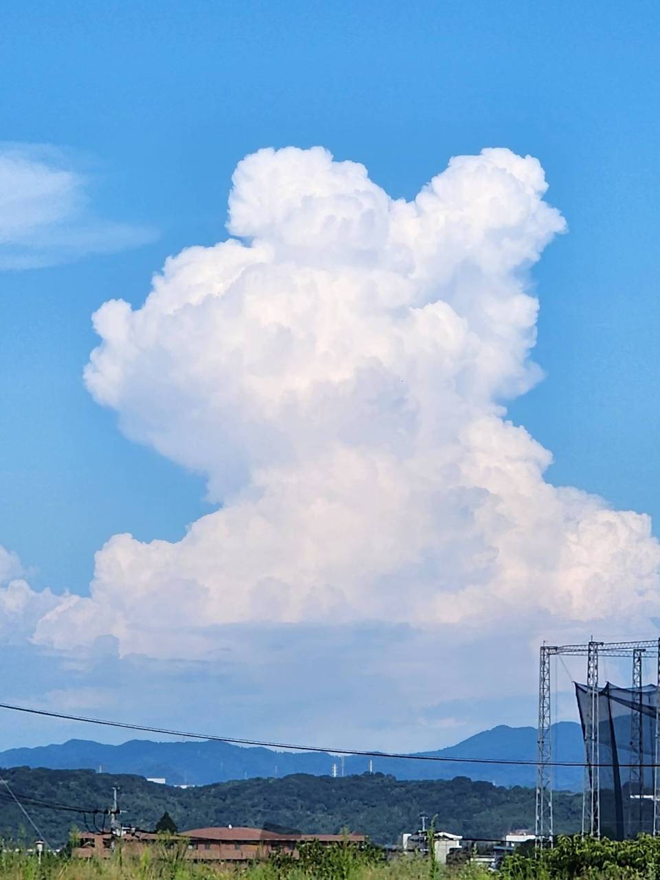 この雲、何に見える？ 注目の空の写真 ウェザーニュース