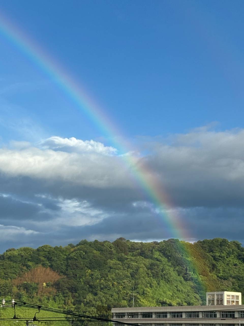 おはようレインボー🌈 注目の空の写真 ウェザーニュース