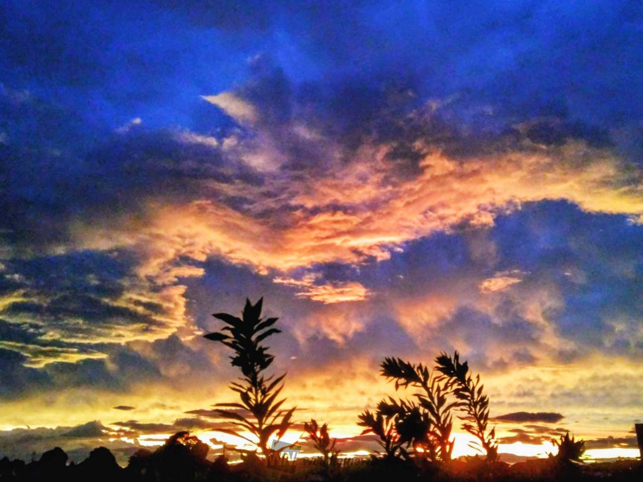 いつもと違う夕焼け 注目の空の写真 ウェザーニュース