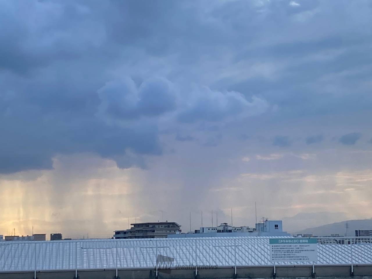 雷雨さま専用ページ 雷雨さま専用ページ ポン太さま専用 □ライブ