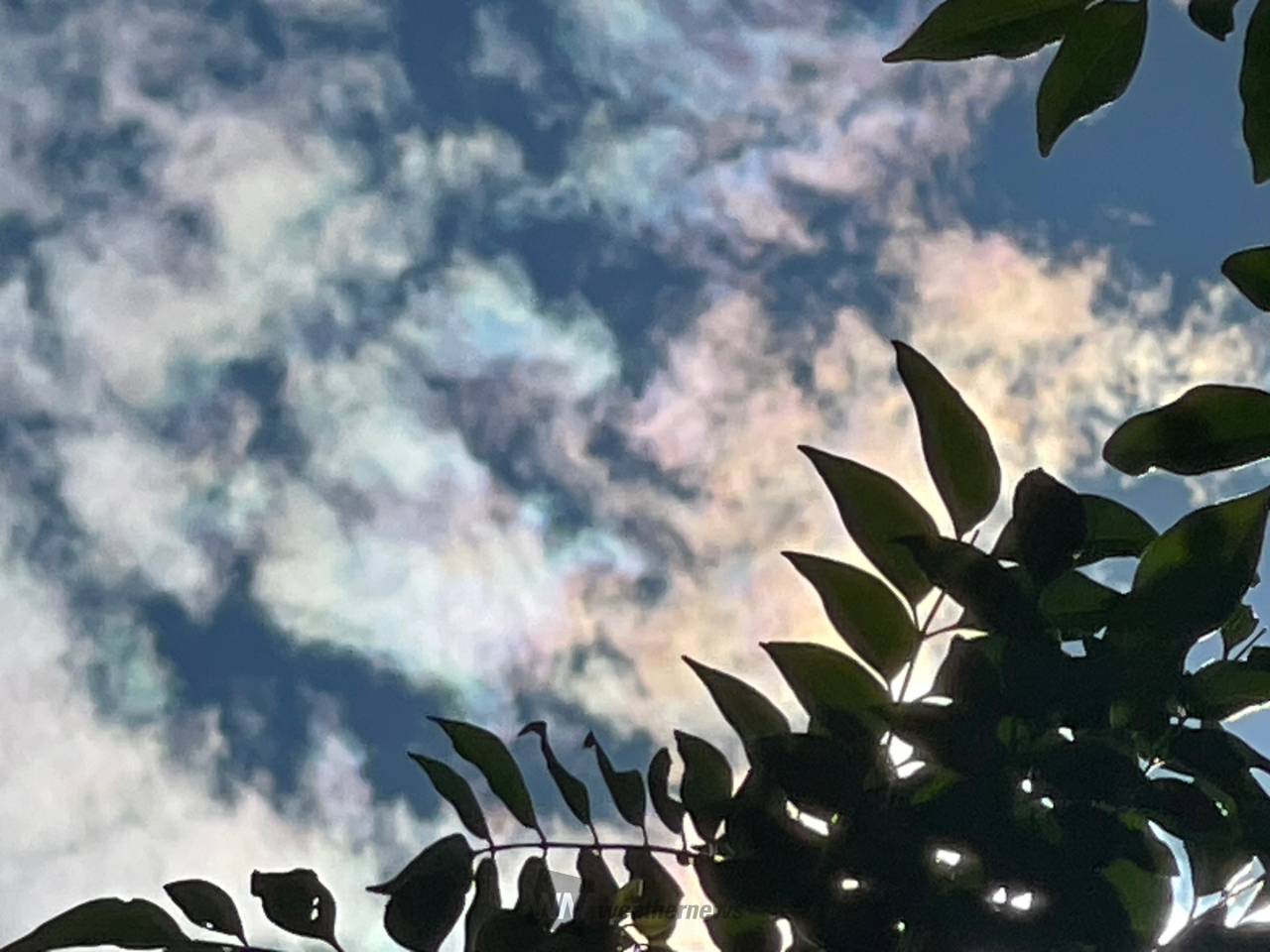 虹色の雲「彩雲」 注目の空の写真 ウェザーニュース