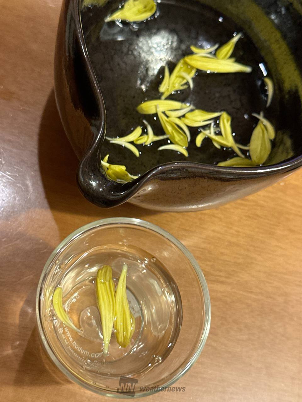 重陽の節句、菊酒
