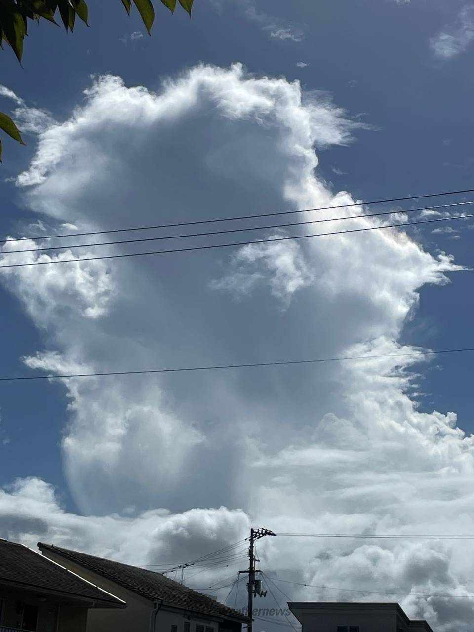 怪しい雲にご用心⚠️ 注目の空の写真 ウェザーニュース