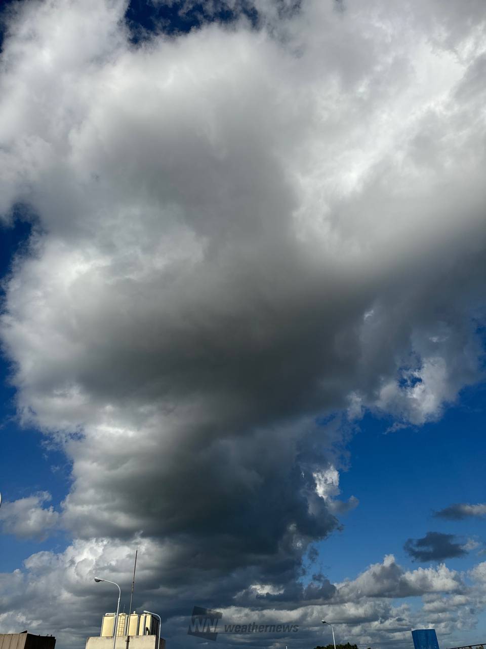 洒落雲様　ご確認用 雲のカタチ | KTS鹿児島テレビ