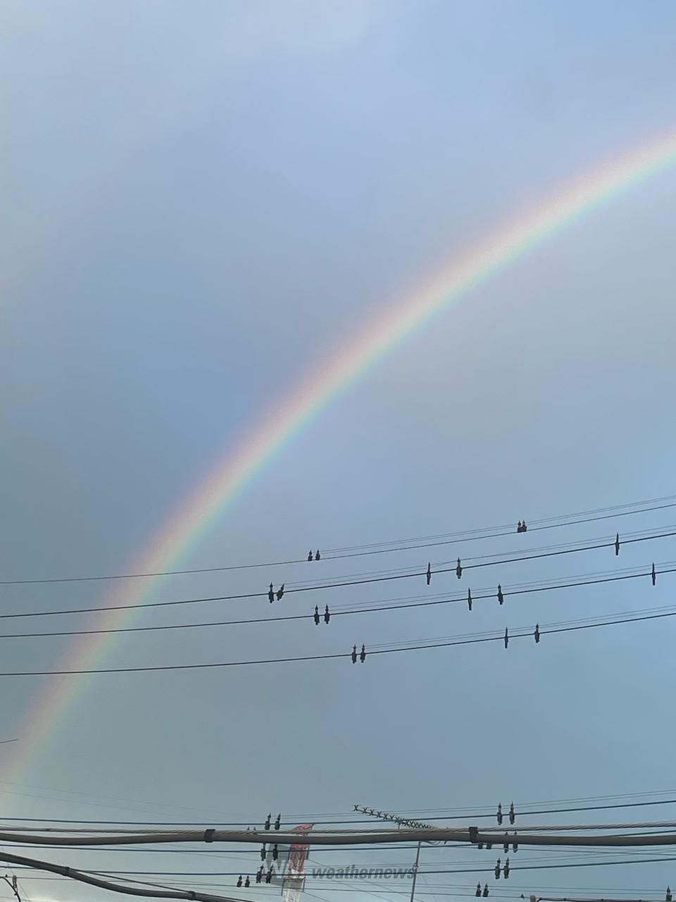 朝虹ラッシュ 注目の空の写真 ウェザーニュース