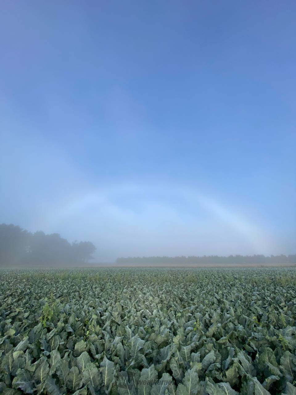 北から白虹・南から7色の虹 注目の空の写真 ウェザーニュース