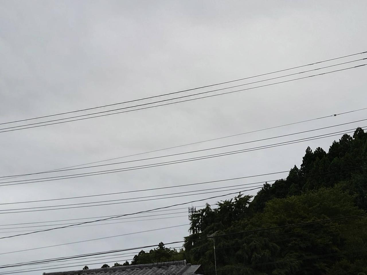 どんより曇り空 明日は中秋の名月だけどお | 福島県二本松市 | 🐤ぴー