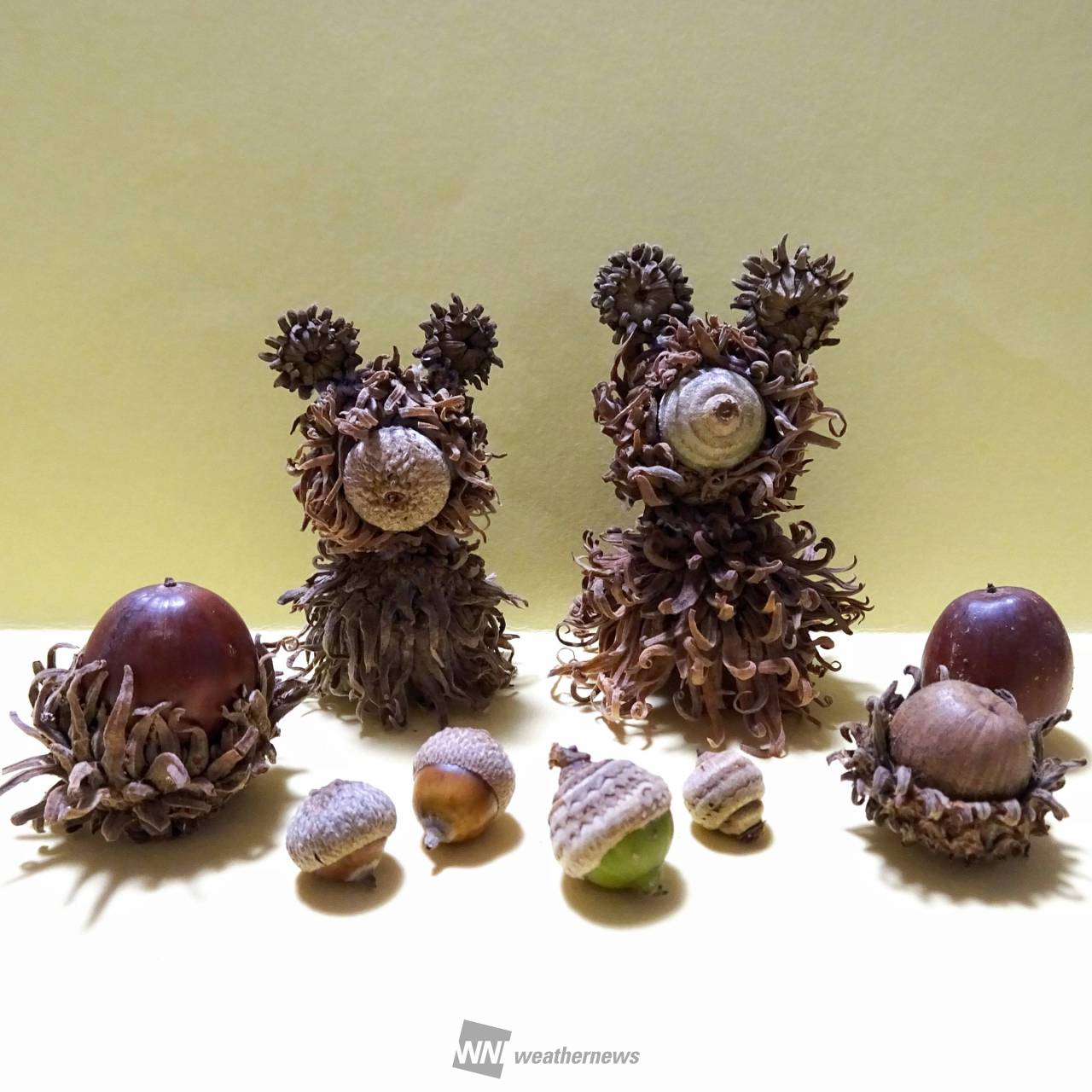 どんぐりアート 注目の空の写真 ウェザーニュース