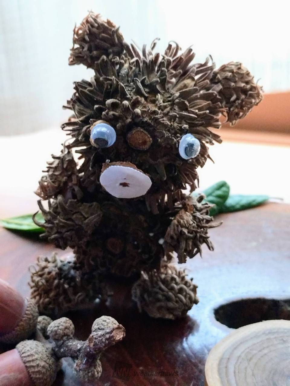 どんぐりアート 注目の空の写真 ウェザーニュース