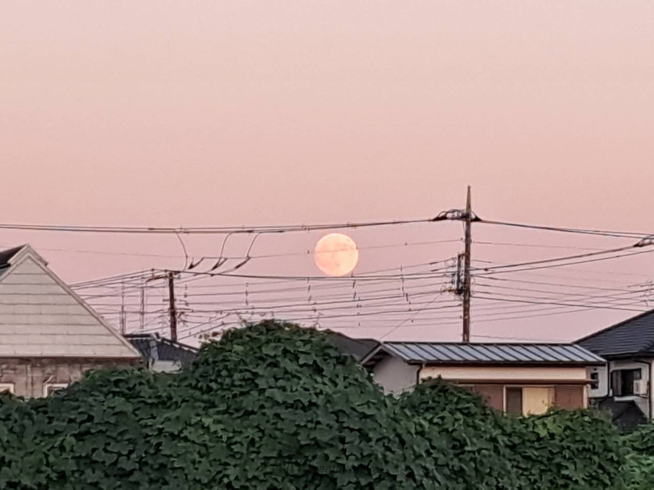 十五夜・中秋の名月 注目の空の写真 ウェザーニュース