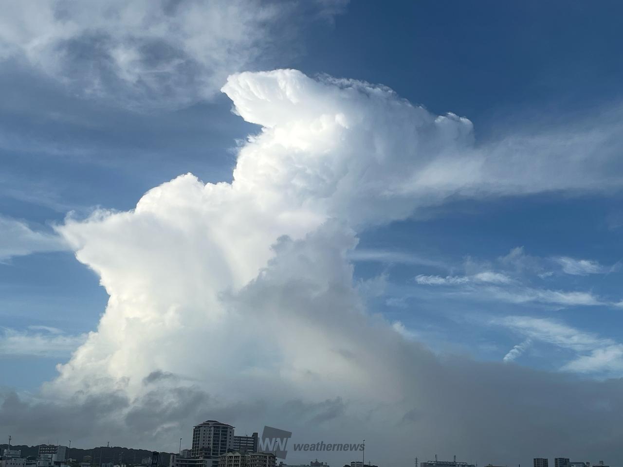 縦にのびる雲 注目の空の写真 ウェザーニュース