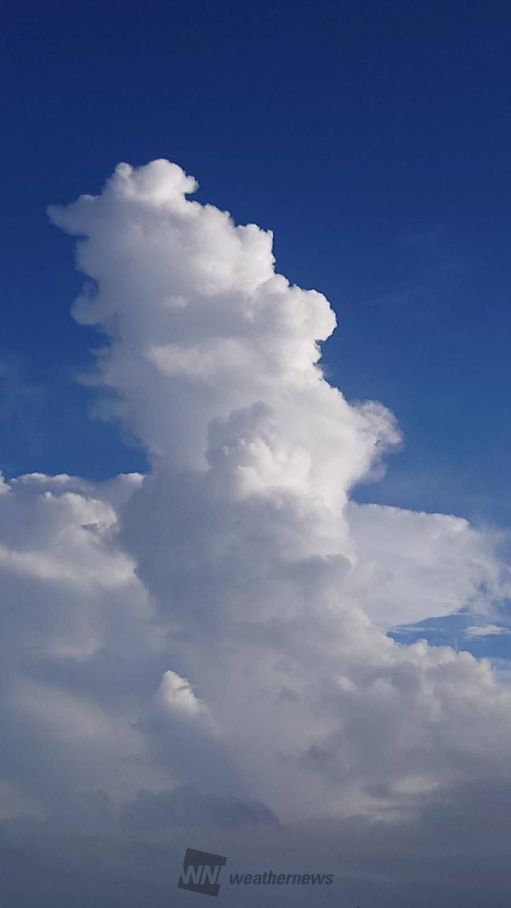 縦にのびる雲 注目の空の写真 ウェザーニュース