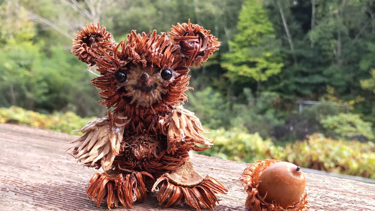 どんぐりアート 注目の空の写真 ウェザーニュース