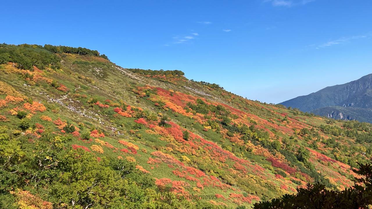 大雪山で紅葉が見頃に 注目の空の写真 ウェザーニュース