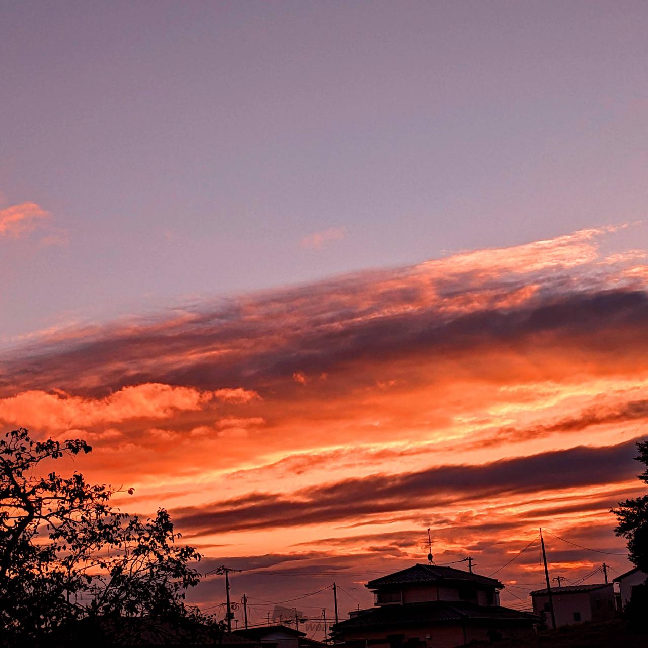 夕日・夕焼け写真館 注目の空の写真 ウェザーニュース
