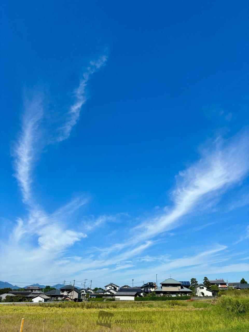刷毛で書いたような雲 注目の空の写真 ウェザーニュース