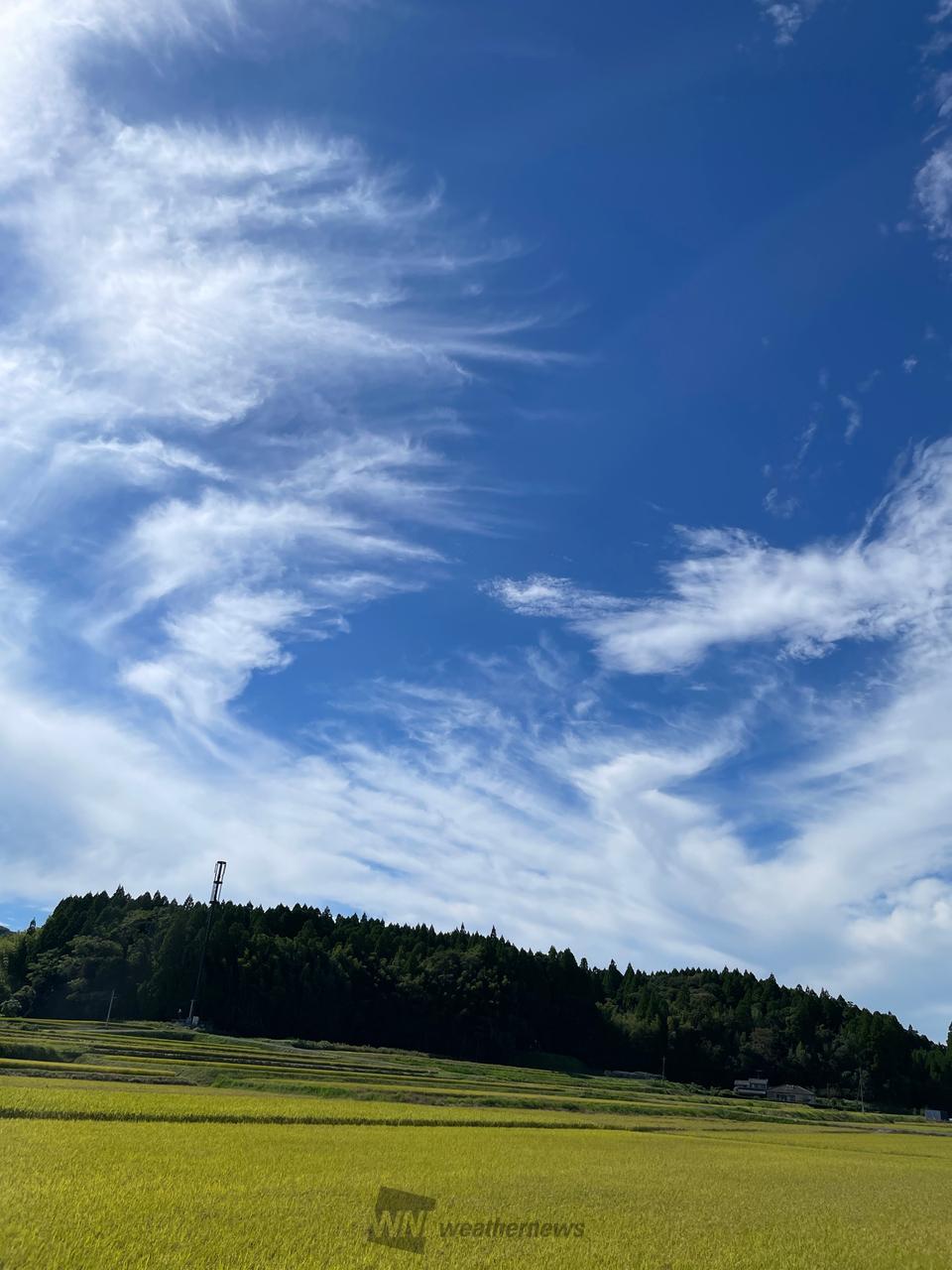 刷毛で書いたような雲 注目の空の写真 ウェザーニュース
