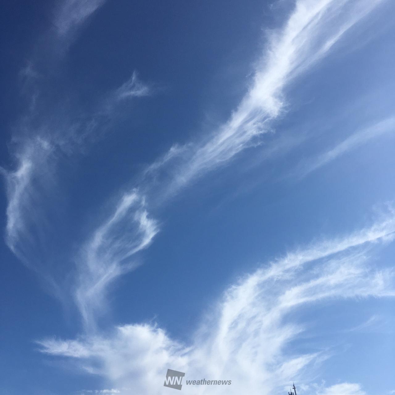 洒落雲様　ご確認用 刷毛で書いたような雲 注目の空の写真 ウェザーニュース