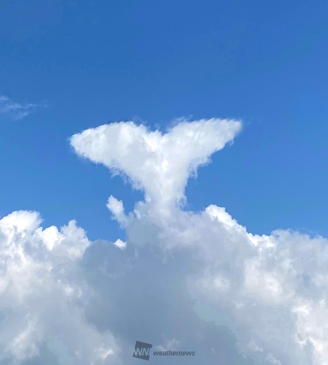 秋の雲画廊 注目の空の写真 ウェザーニュース