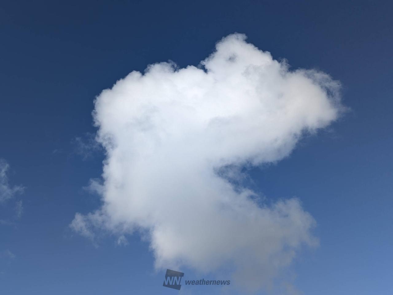 秋の雲画廊 注目の空の写真 ウェザーニュース