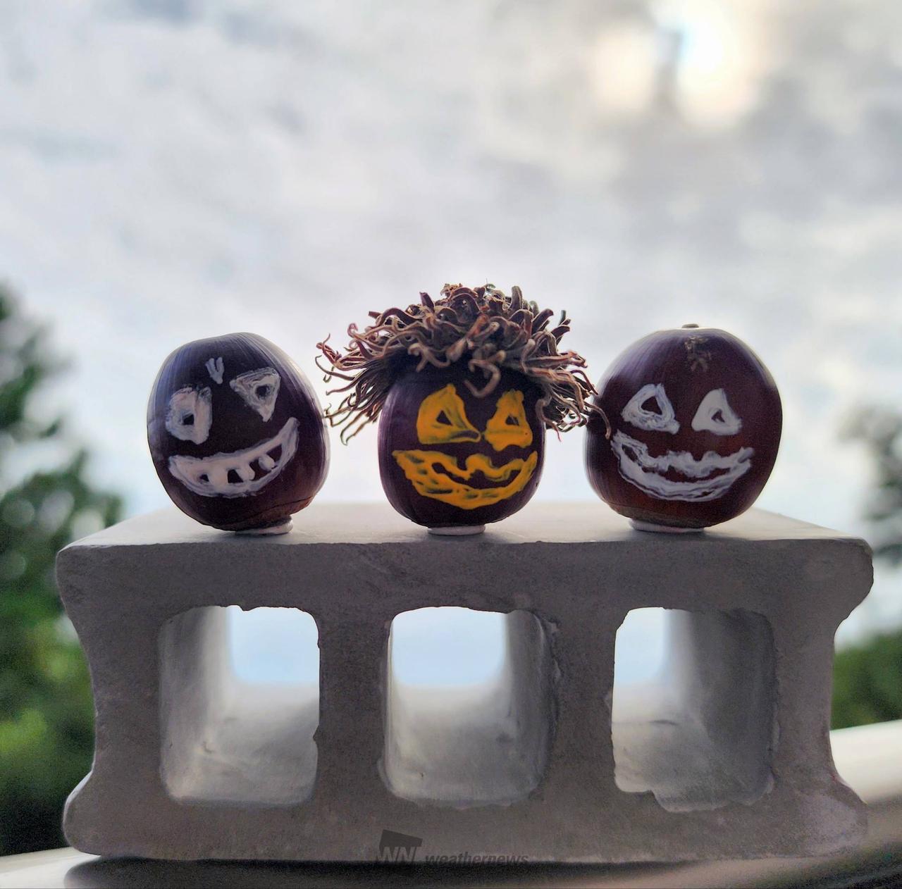 どんぐりアート - どんぐり | minne byGMOペパボ 国内最大級の