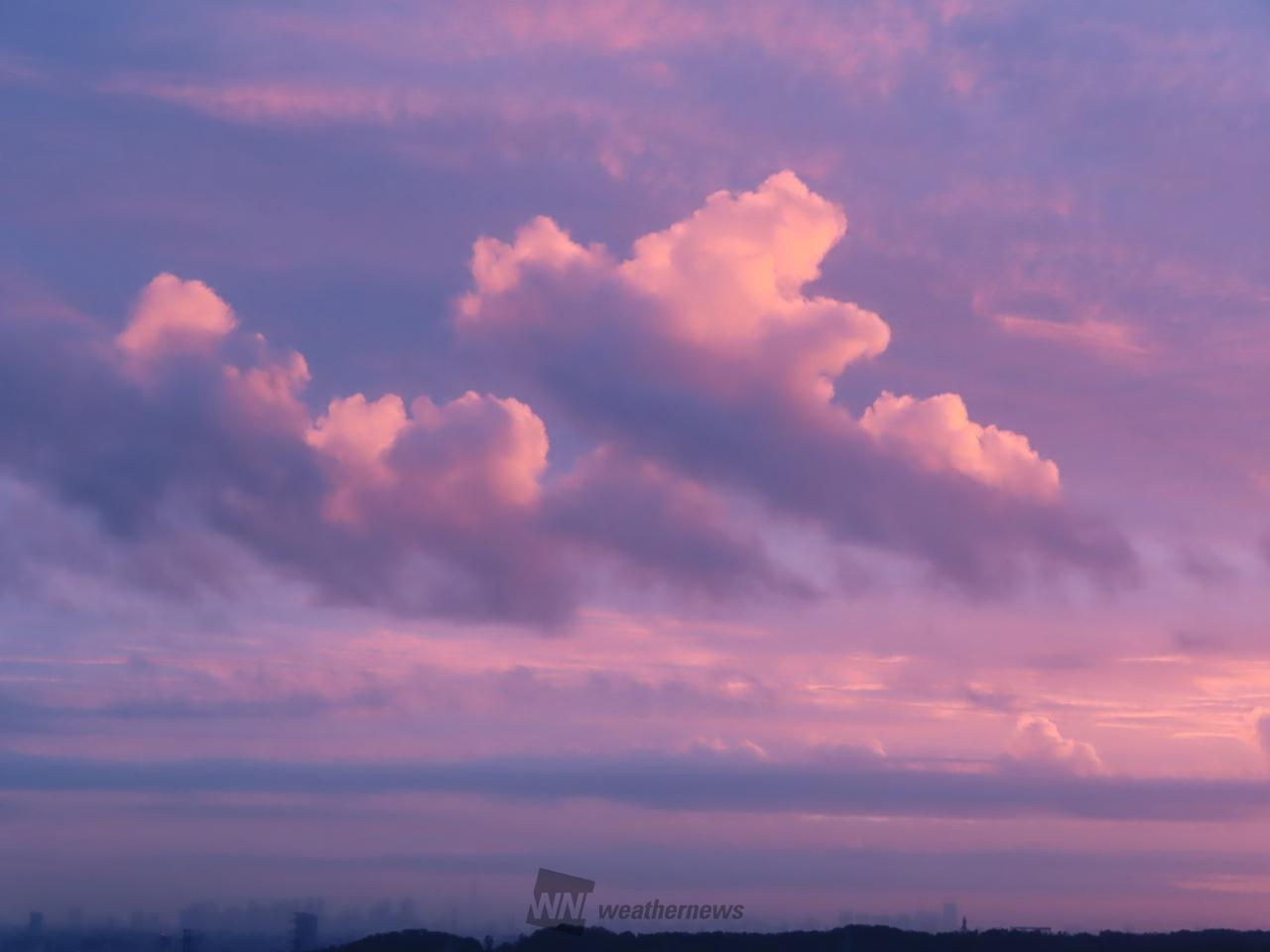 ピンクパープルな朝の雲 注目の空の写真 ウェザーニュース
