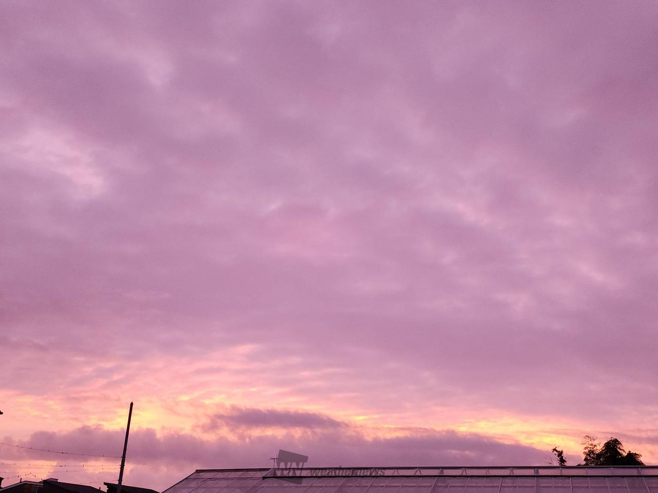 ピンクパープルな朝の雲 注目の空の写真 ウェザーニュース