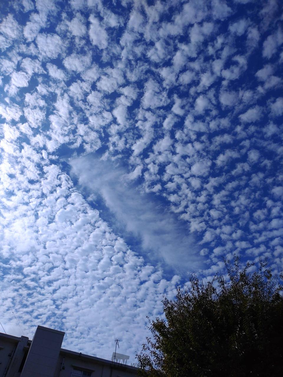 秋っぽいモコモコな空 注目の空の写真 ウェザーニュース