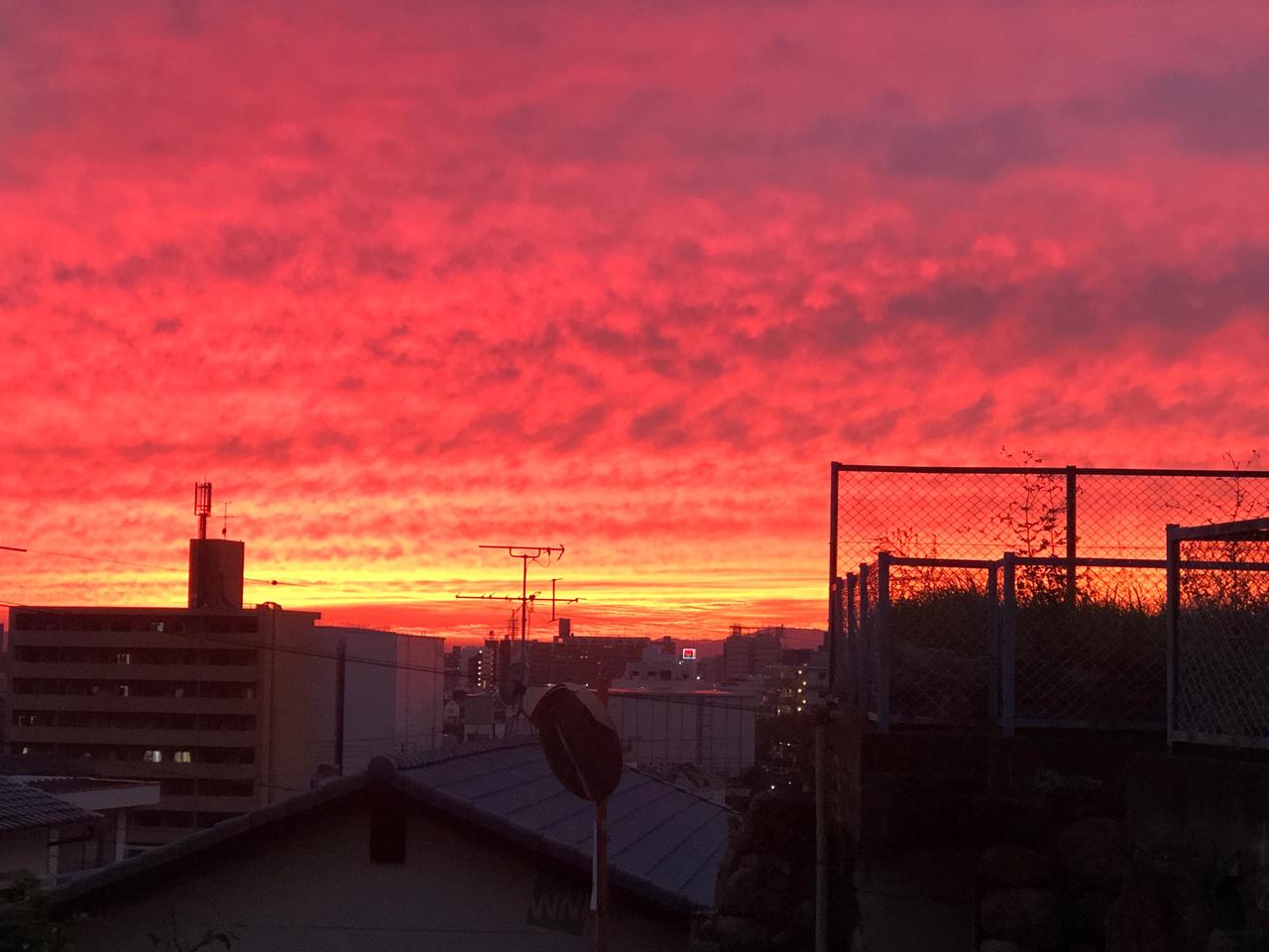 90285603.jpg