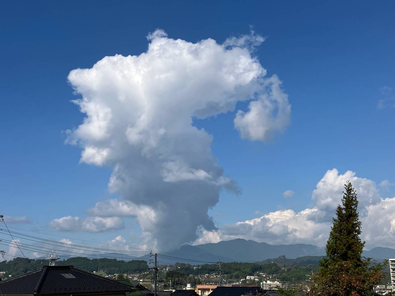 十種雲形、この雲なーに？ 注目の空の写真 ウェザーニュース