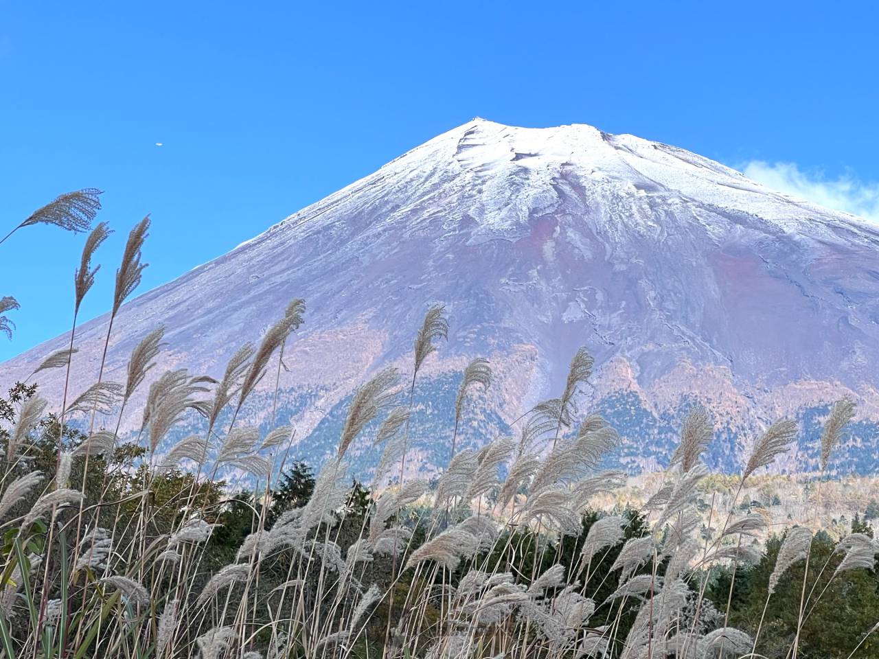 富士山が雪化粧🗻 注目の空の写真 ウェザーニュース