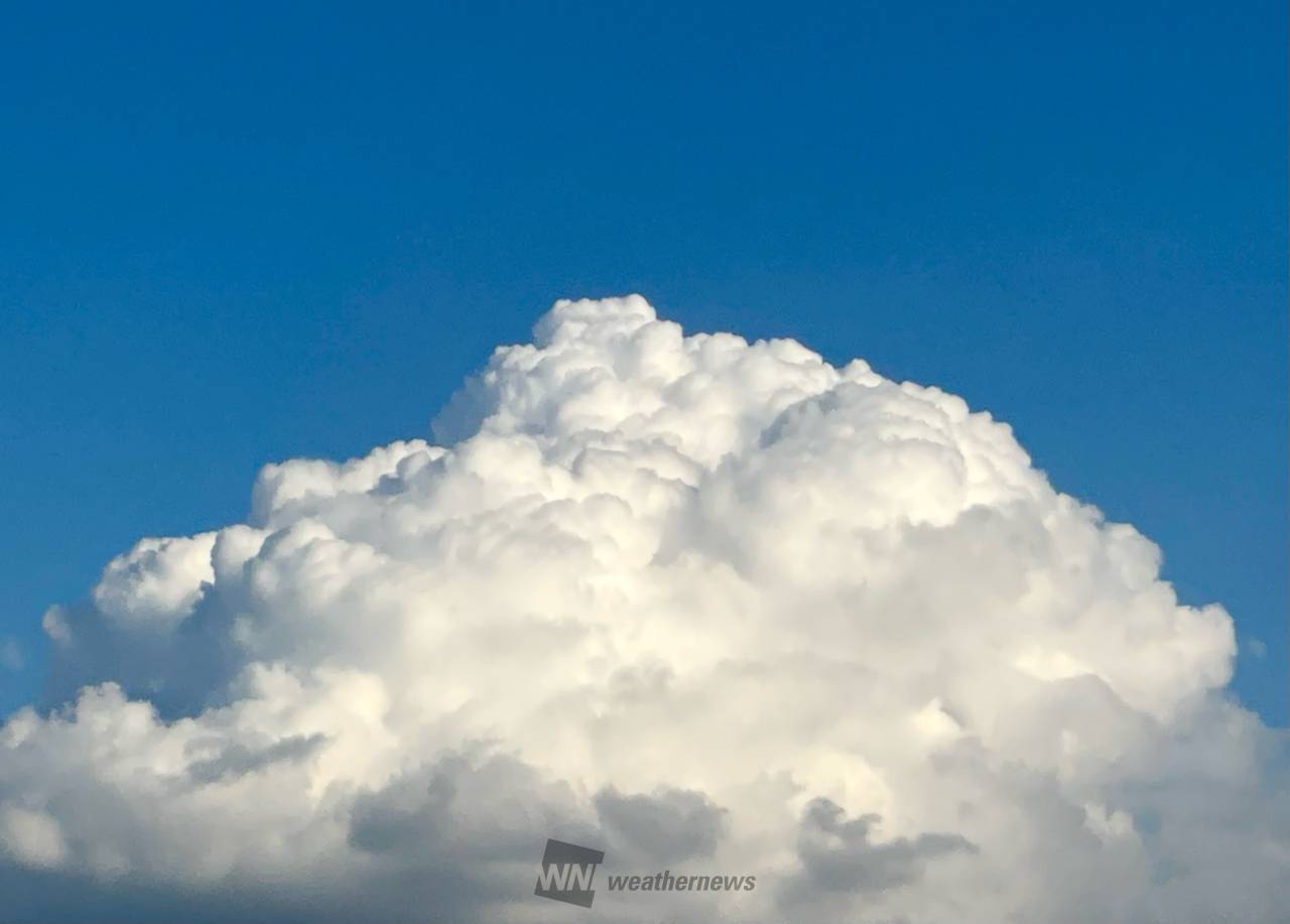 十種雲形、この雲なーに？ 注目の空の写真 ウェザーニュース
