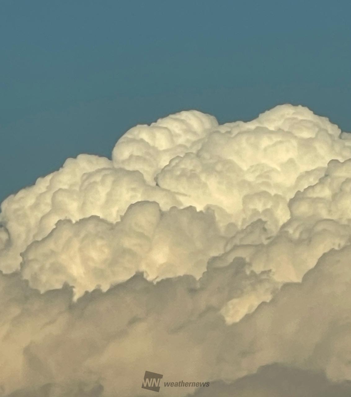 十種雲形、この雲なーに？ 注目の空の写真 ウェザーニュース
