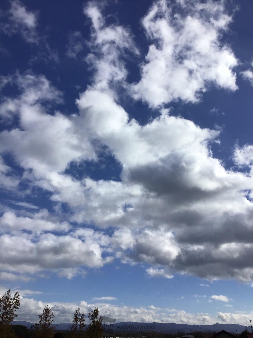 十種雲形、この雲なーに？ 注目の空の写真 ウェザーニュース