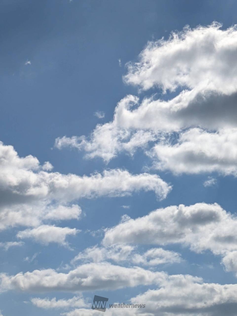 十種雲形、この雲なーに？ 注目の空の写真 ウェザーニュース