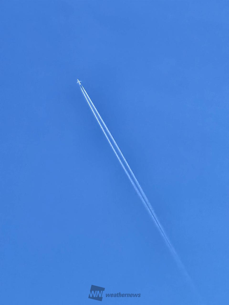 飛行機雲 ✈️飛行機💨💨 見上げたらヒコウキ雲と変わったカラーの飛行機